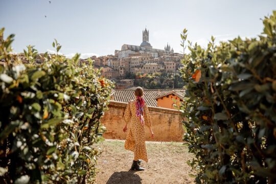Siena and San Gimignano Tour from Rome