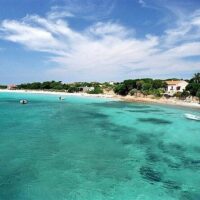 Private & Custom Tours
