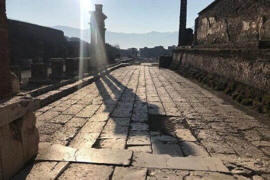 Private Guided Tour. Experience the Everyday Life of the Eternal town of Pompeii