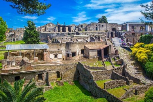 Paestum and Pompeii- Full day tour from Rome