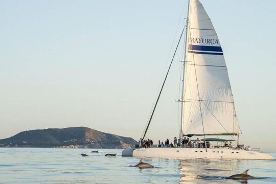 Day Catamaran Trip: Cap des Freus and Llevant Natural Park