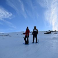Ski & Snow