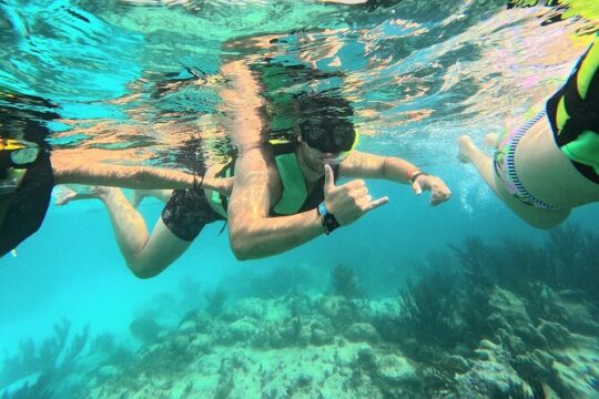 Private Snorkeling with Sea Turtles in Akumal