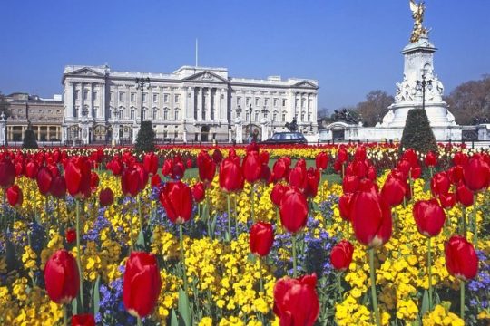Self-Guided Buckingham Palace and Windsor Castle Tour