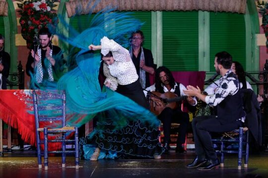 Flamenco Show and Tapas Dinner
