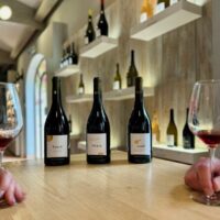 Food, Wine & Nightlife