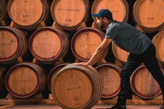 Full Day Private Guided Tour of Arandas Jalisco Distilleries