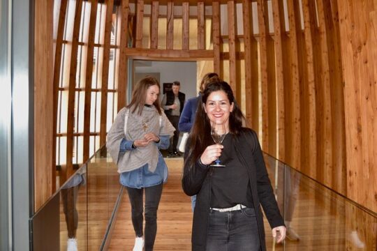 WineTour from Paris to Champagne visit tasting and gourmet picnic