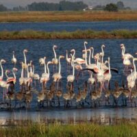 Cruises, Sailing & Water Tours