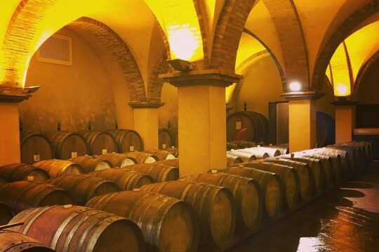 Private Tuscany Wine Tour Experience from Florence