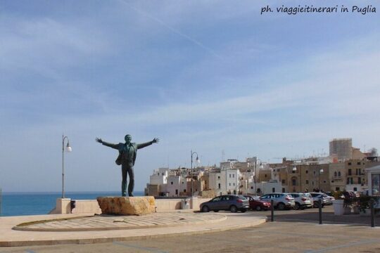 Private half day street food tour in Polignano and Monopoli