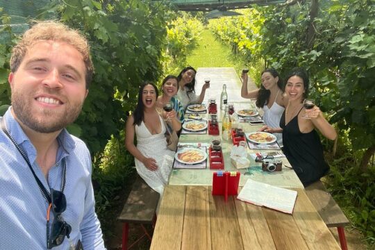 Tasting in a Tuscan Vineyard from Pisa with Transfer