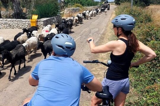 Lecce: E-Bike tour to Galatina with old olive mill & wine taste
