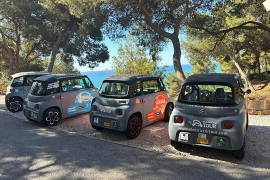 Malaga Highlights by Electric Car with Port Pick up