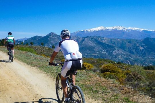 Guided Mountain Bike Adventure