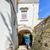 Eco Tours