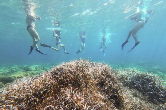 Explore the bay and the cost of Sant Elm with a kayak