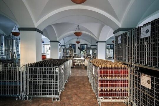 Vesuvius Wine Tasting Tour from Naples with Lunch