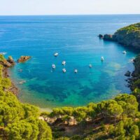 Catamaran Cruises