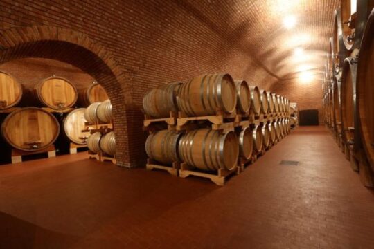 Valpolicella - The wine paradise