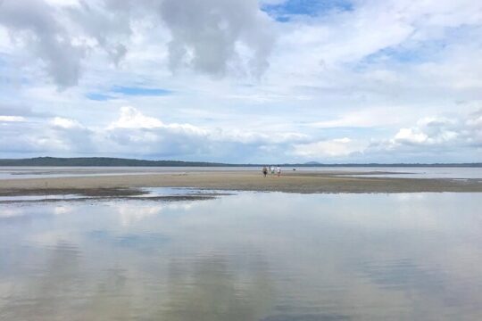 Secrets of Noosa Tour with Oceanview Lunch, Nature & Noosa River Ferry
