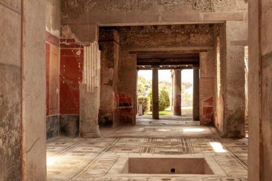 Pompeii Guided and Trip to Two Wineries with Lunch