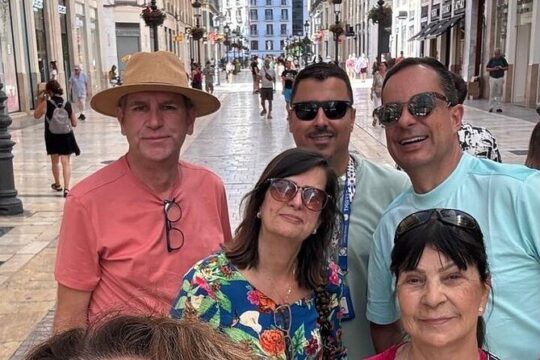 Malaga Private Tour with Alcazaba, Picasso Museum & Cathedral