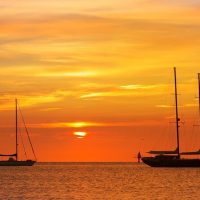 Shore Excursions