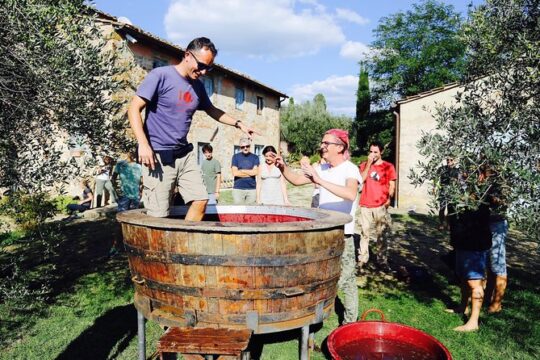 Discover Organic and Biodynamic Chianti Small Wineries