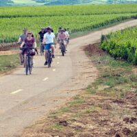 Tours & Sightseeing