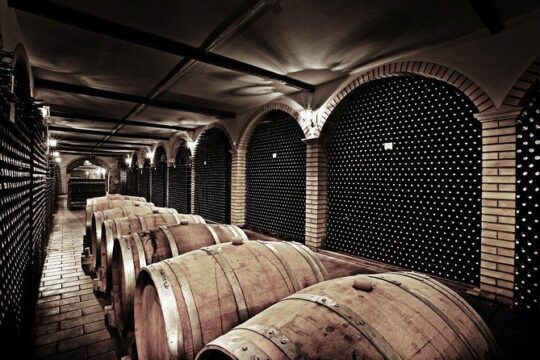 Wine tour and Tasting in Nocciano