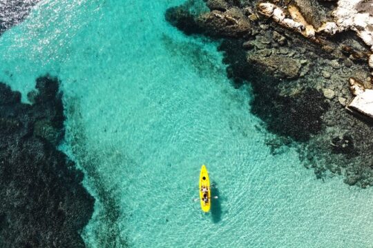 Kayak tour in Golfo Aranci including snack and dolphin sighting