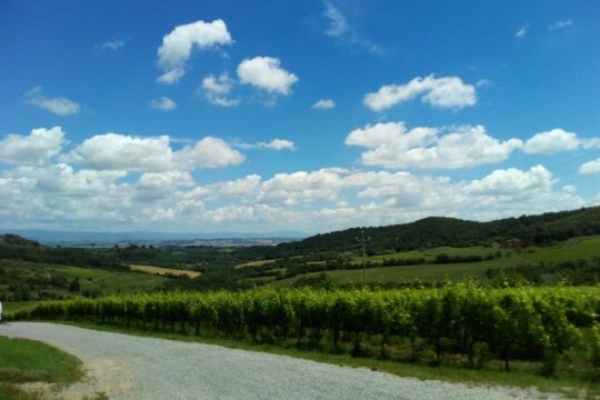 Montalcino and Pienza Tuscany Wine&Cheese ShoreExcursion from Civitavecchia Port