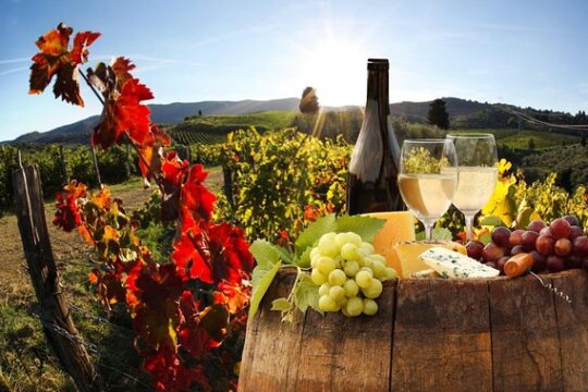 Relaxing Wine Tour With Food & Wine Tasting - Umbria