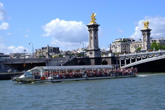 Private Paris city tour & cruise with Minivan