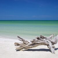 Shore Excursions
