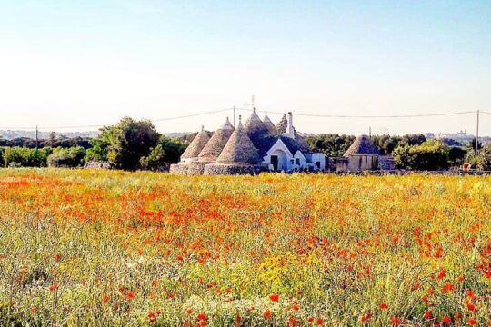 Puglia Full-Day Tour: Bari, Trulli of Alberobello, Castel del Monte and Sassi of Matera