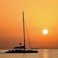 Catamaran Cruises
