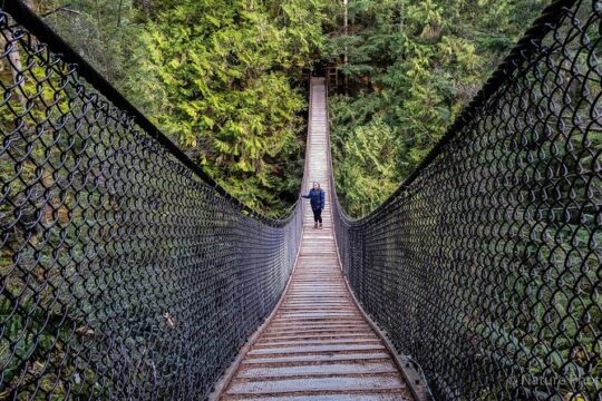 Vancouver City & Nature Photography