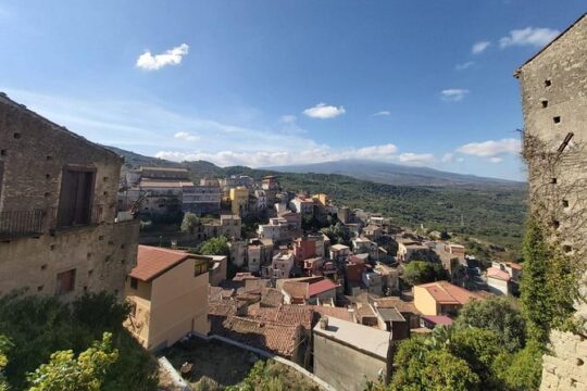 Etna Wineries Tour - Small Groups from Taormina