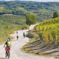 Private & Custom Tours