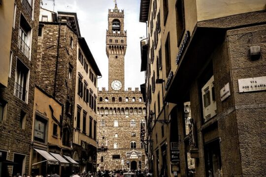 Group Tour Accademia, City Center and Uffizi Gallery