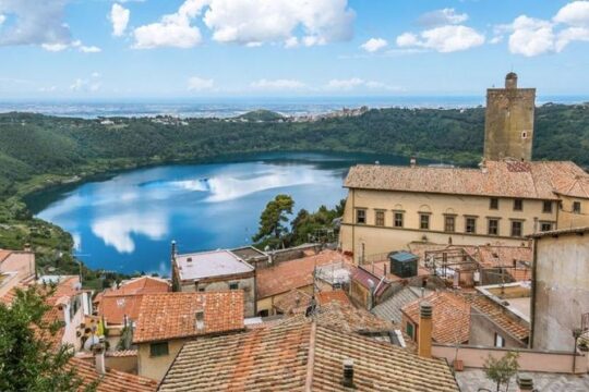 Day trip from Rome: Roman Castles and lunch - private tour
