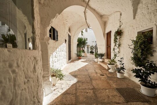Cisternino e-bike tour. Visit a winery and an oil mill
