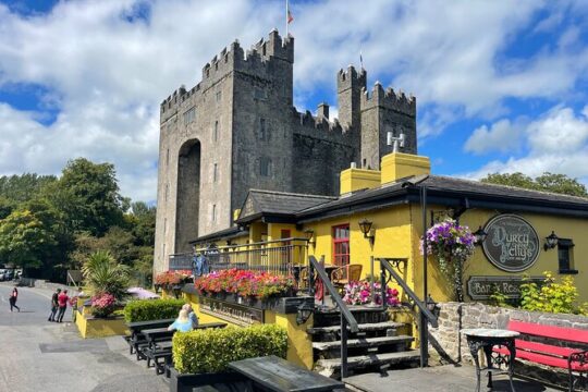 Ultimate Cliffs of Moher & Bunratty Castle Private Tour from Cork