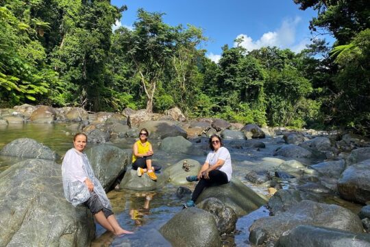 El Yunque Rainforest Guided Day Tour from San Juan