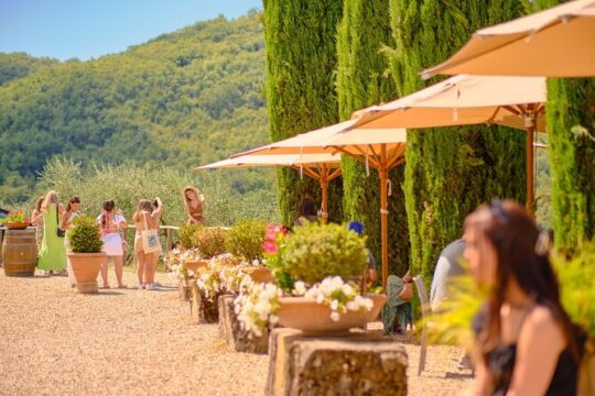 The Town of Fine Towers: San Gimignano and its Vernaccia Wine