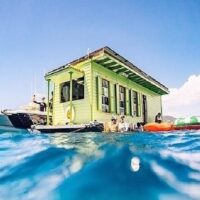 Sailing Trips