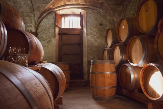 Barcelona Countryside Fullday Lunch and Wine Tasting