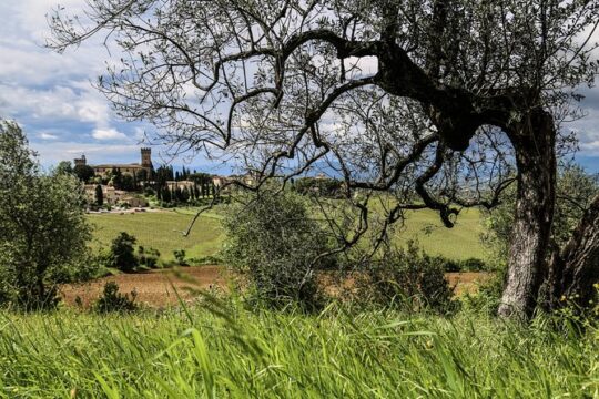The Best of Chianti Classico E-bike tour